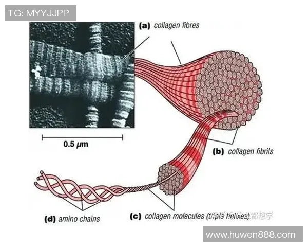 北京羽毛球队盯防策略解析及其在比赛中的应用与影响